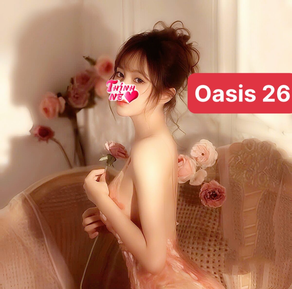 Oasis 26