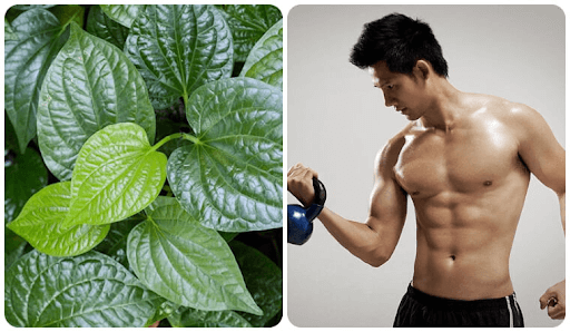 Nguyên nhân khiến sinh lý nam suy giảm