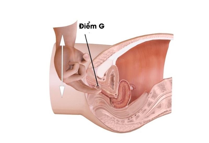 Vị trí điểm G nữ nằm ở đâu?