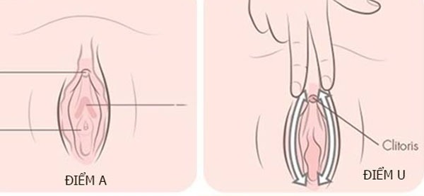 Một số vị trí nhạy cảm khác của phụ nữ