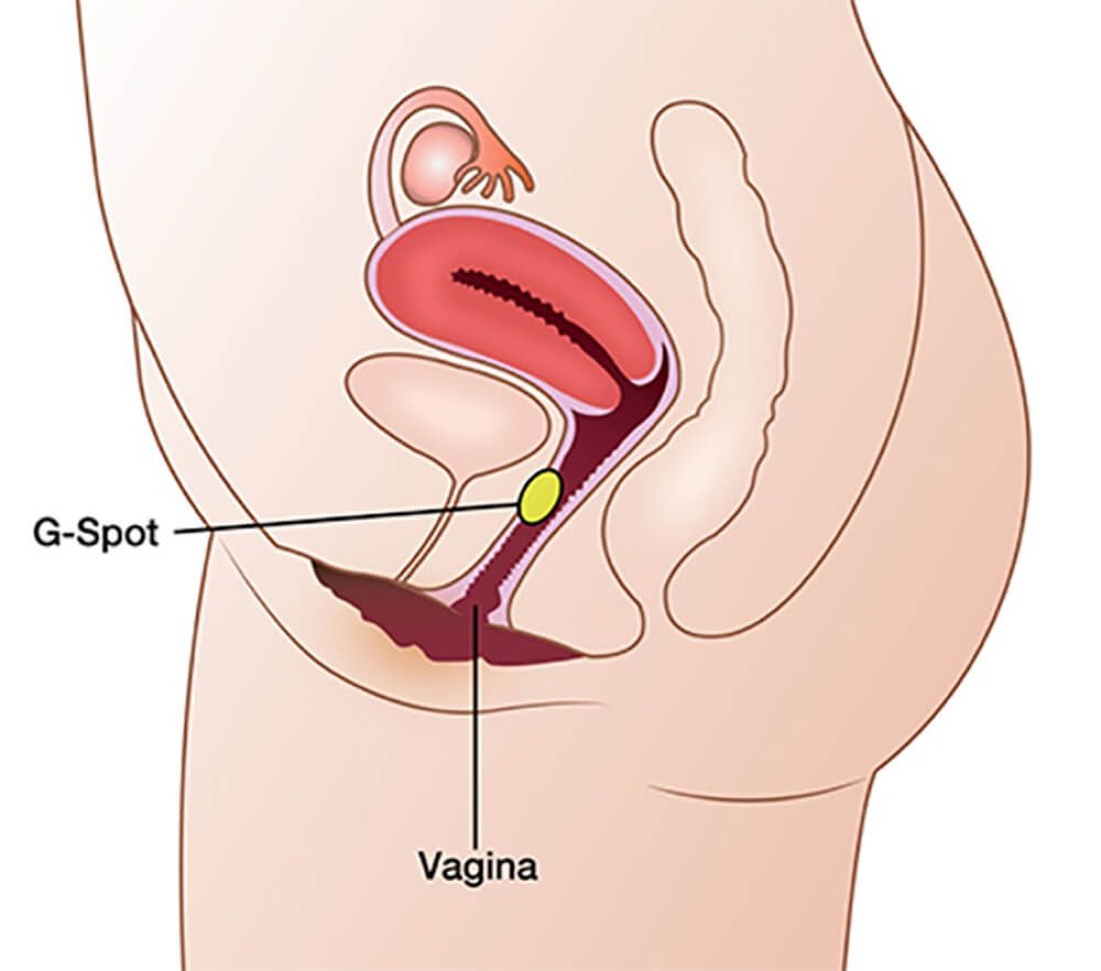 Những câu hỏi thường gặp về điểm g ở phụ nữ