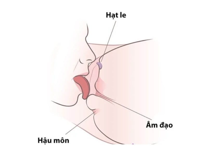 Sử dụng miệng kích thích điểm G phụ nữ