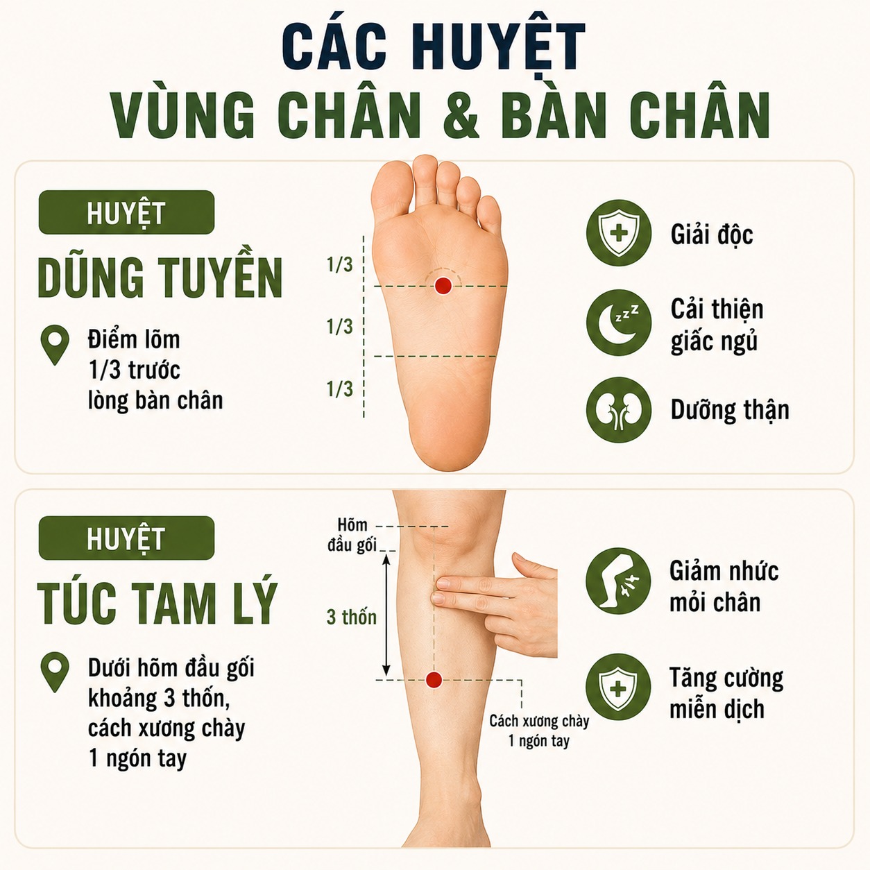 Các huyệt vùng chân và bàn chân