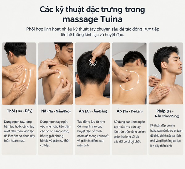 Các kỹ thuật đặc trưng trong massage Tuina